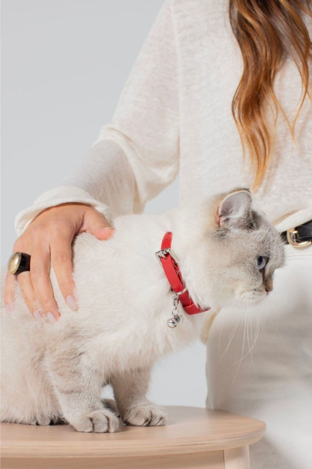 Zoe Pet Atelier Kedi Boyun Tasması Kırmızı