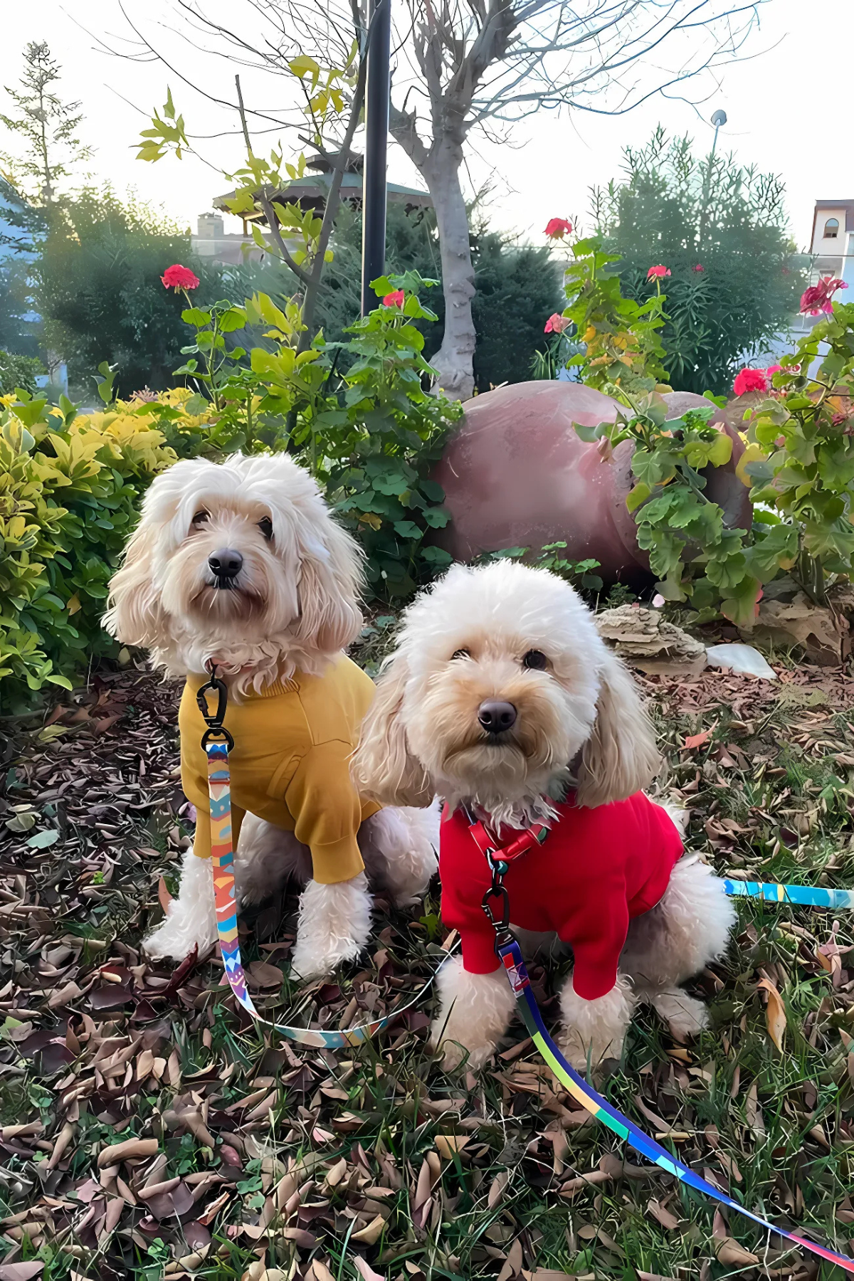 Fluffy Buddies Balon Kollu Yumuşak Triko Kazak Kırmızı