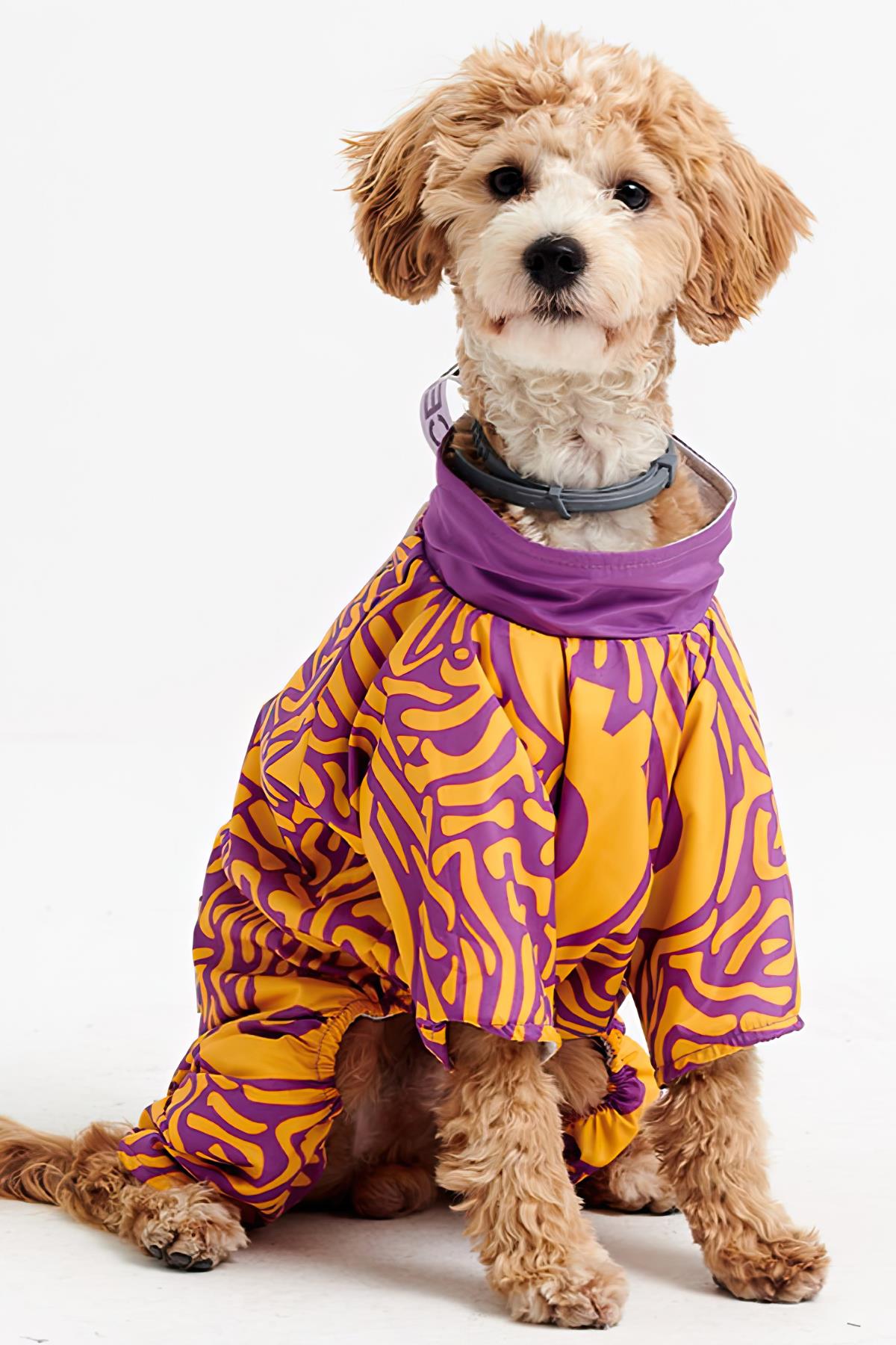 Godoist Jumpsuit Series - Boo Köpek Tulum Yağmurluk