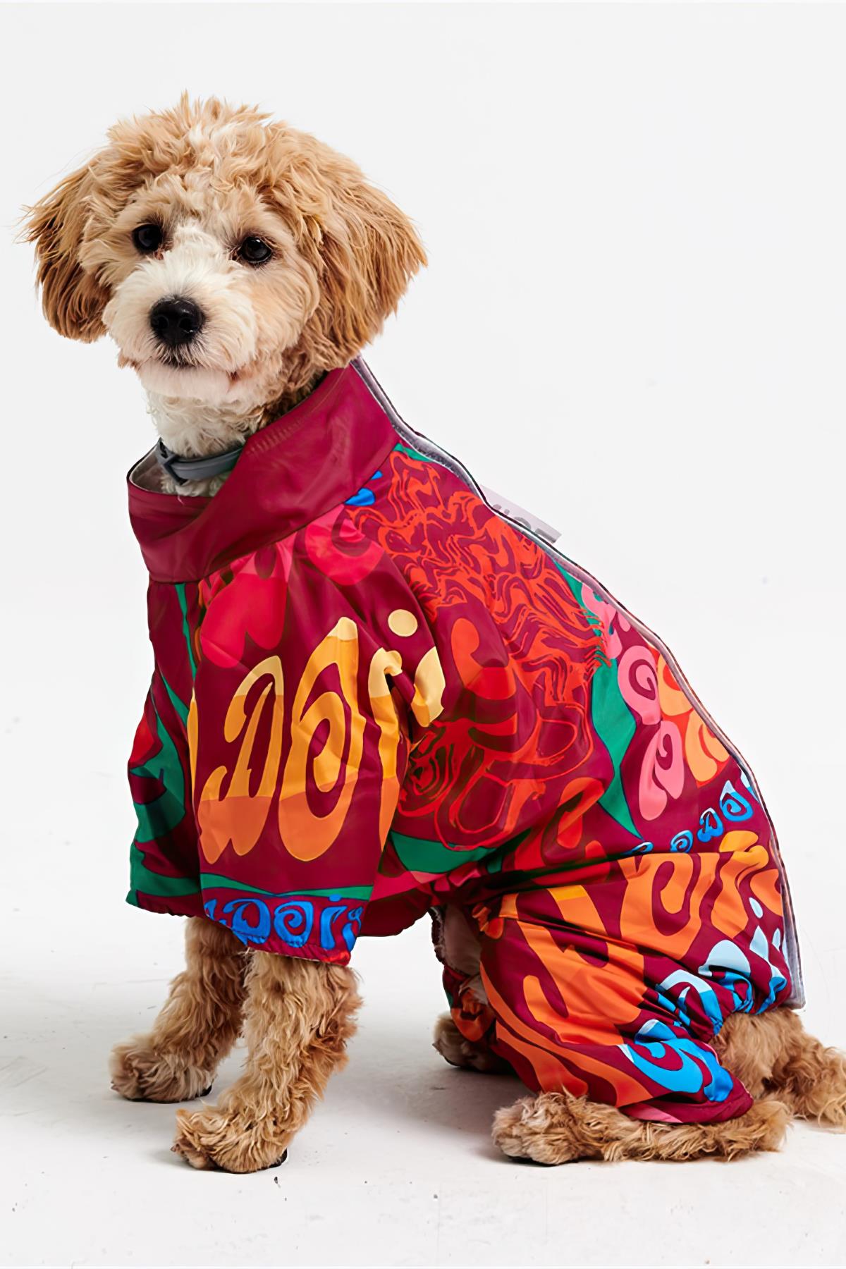 Godoist Jumpsuit Series - Colourful Köpek Tulum Yağmurluk