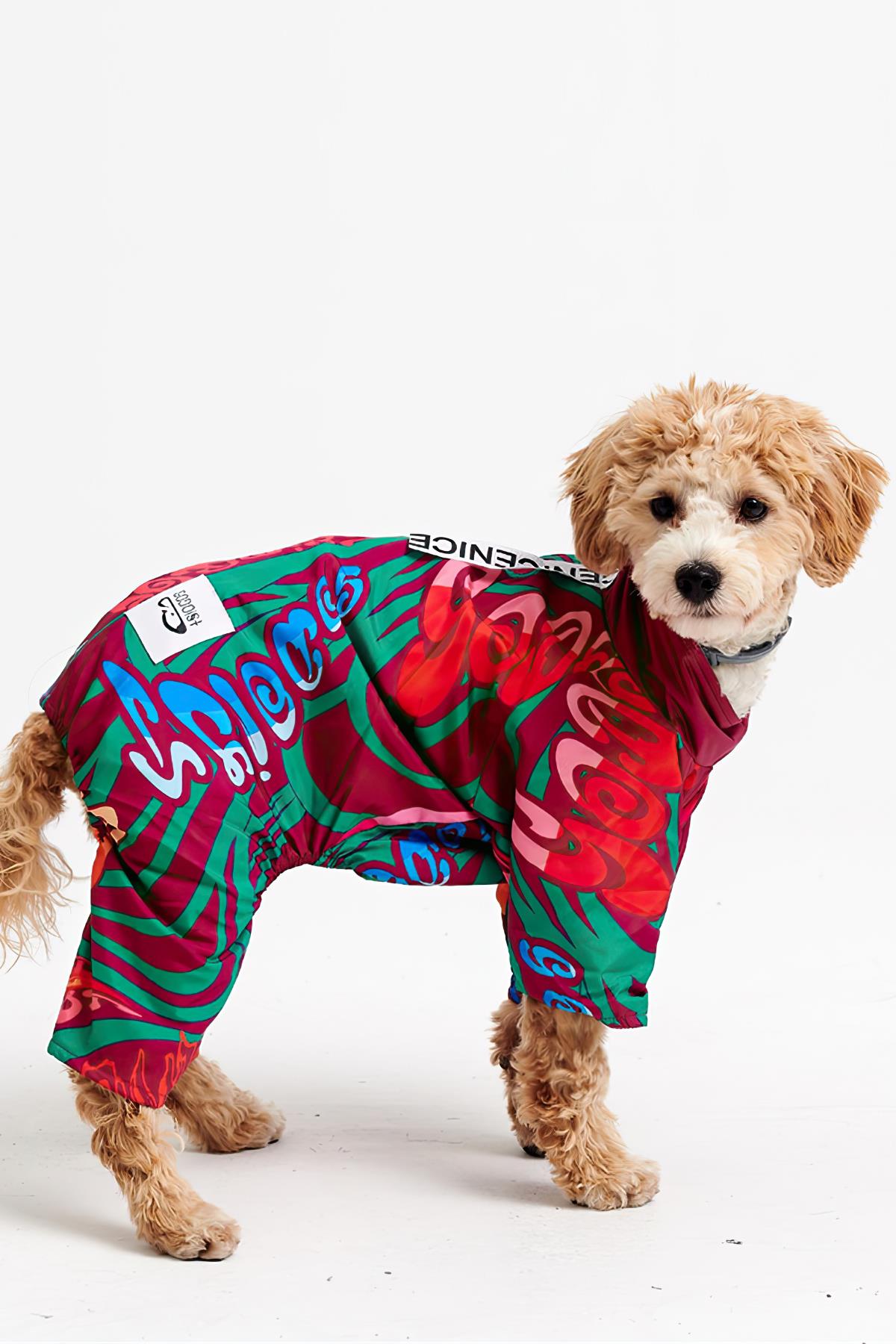 Godoist Jumpsuit Series - Colourful Köpek Tulum Yağmurluk