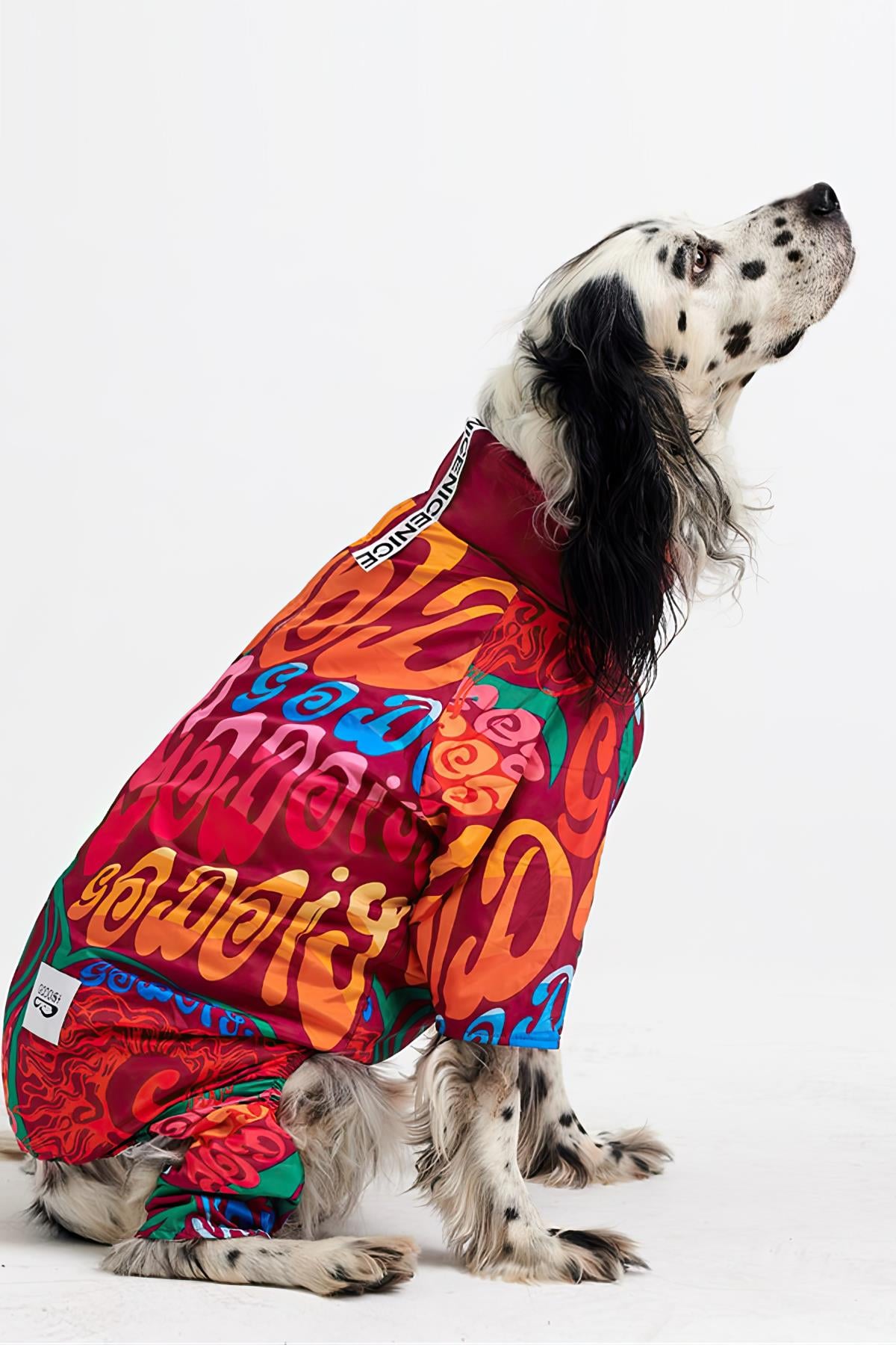 Godoist Jumpsuit Series - Colourful Köpek Tulum Yağmurluk
