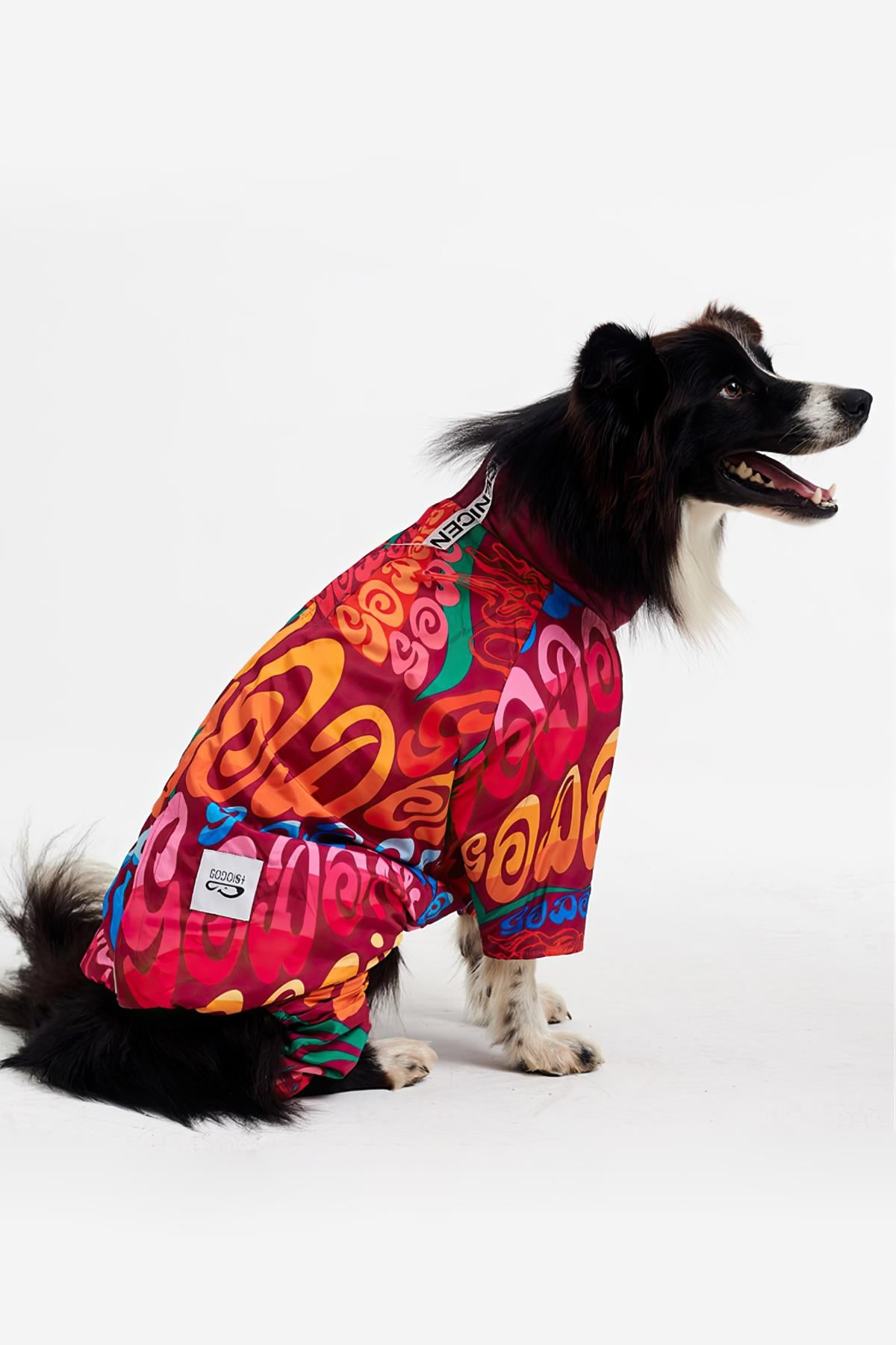 Godoist Jumpsuit Series - Colourful Köpek Tulum Yağmurluk