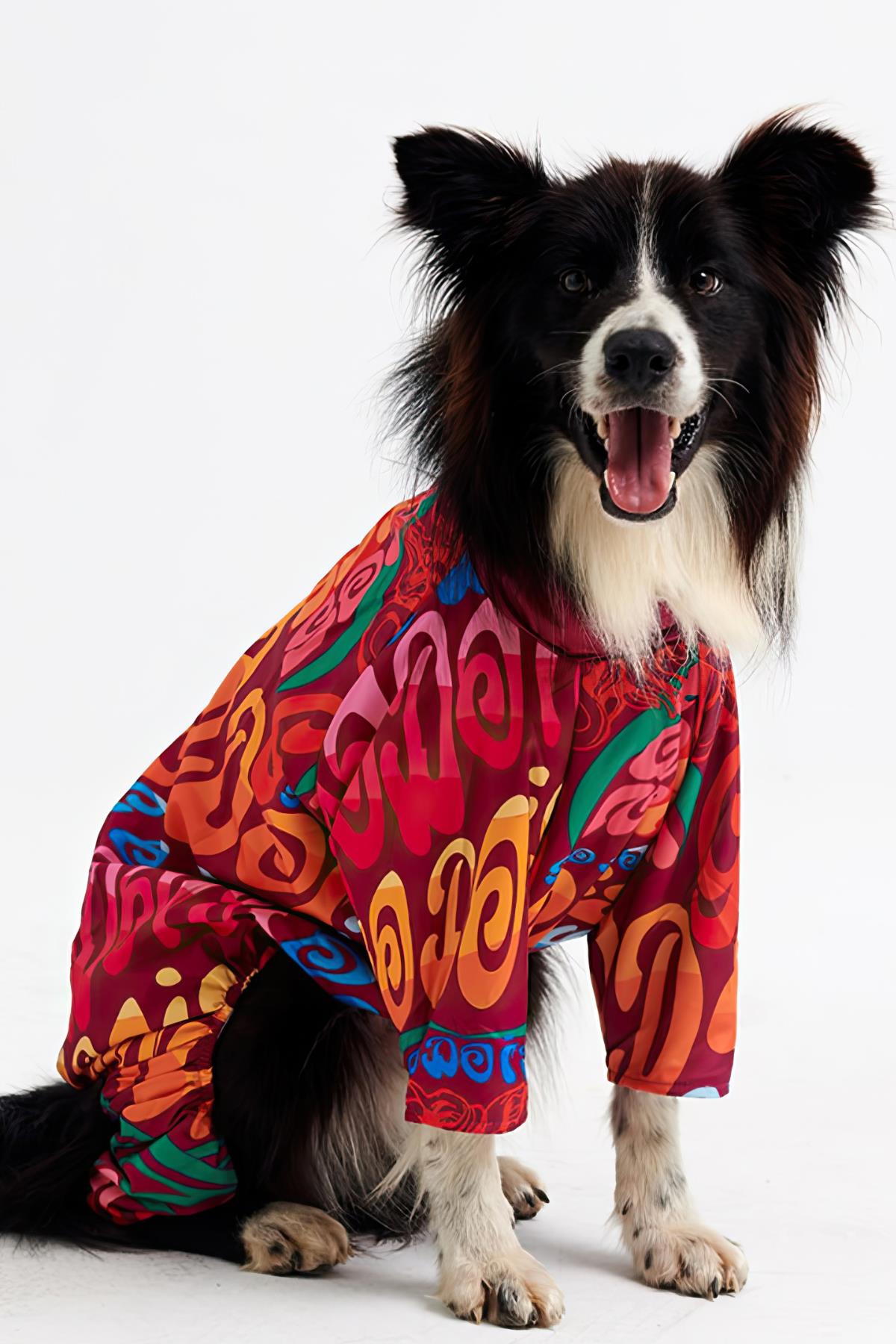 Godoist Jumpsuit Series - Colourful Köpek Tulum Yağmurluk