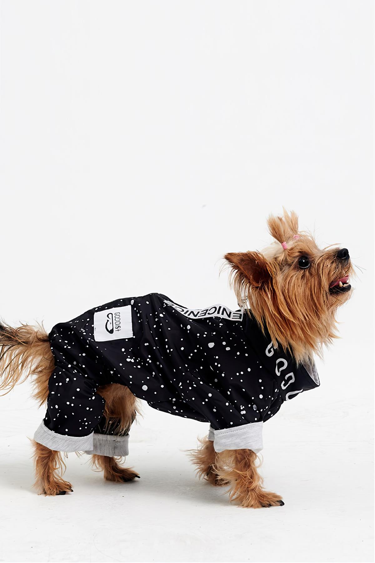 Godoist Jumpsuit Series - Space Köpek Tulum Yağmurluk