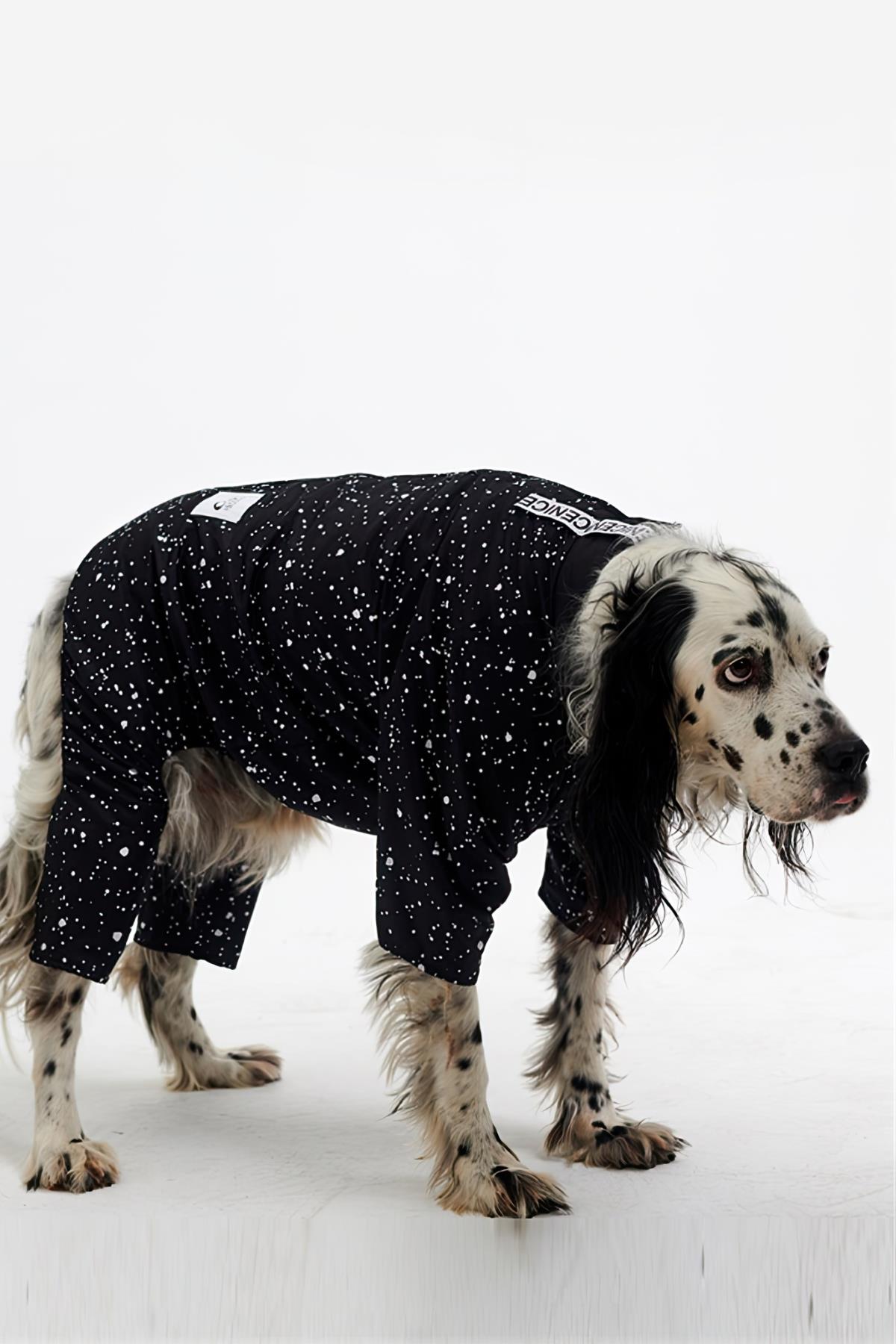 Godoist Jumpsuit Series - Space Köpek Tulum Yağmurluk