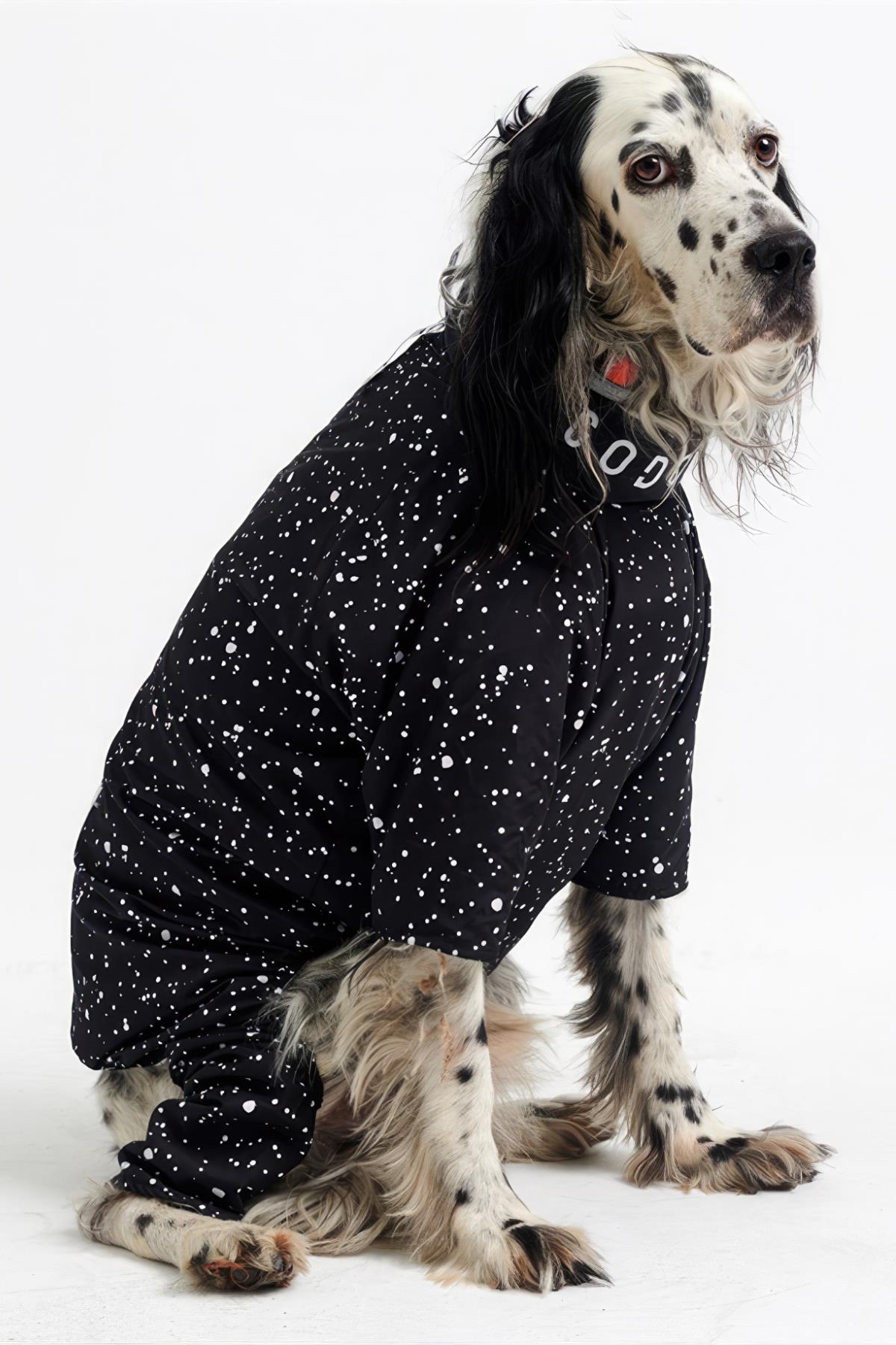 Godoist Jumpsuit Series - Space Köpek Tulum Yağmurluk