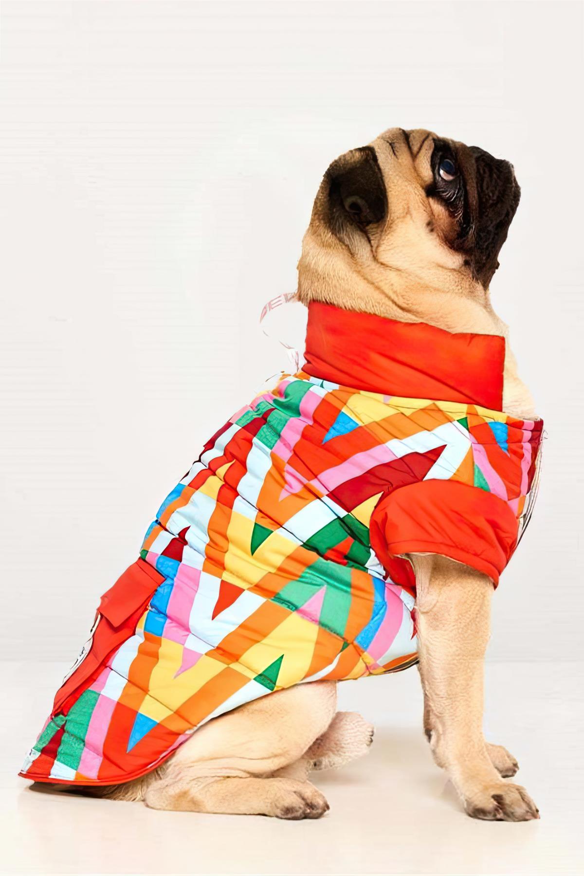 Godoist Puffer Series-Zigzag Dog Coat