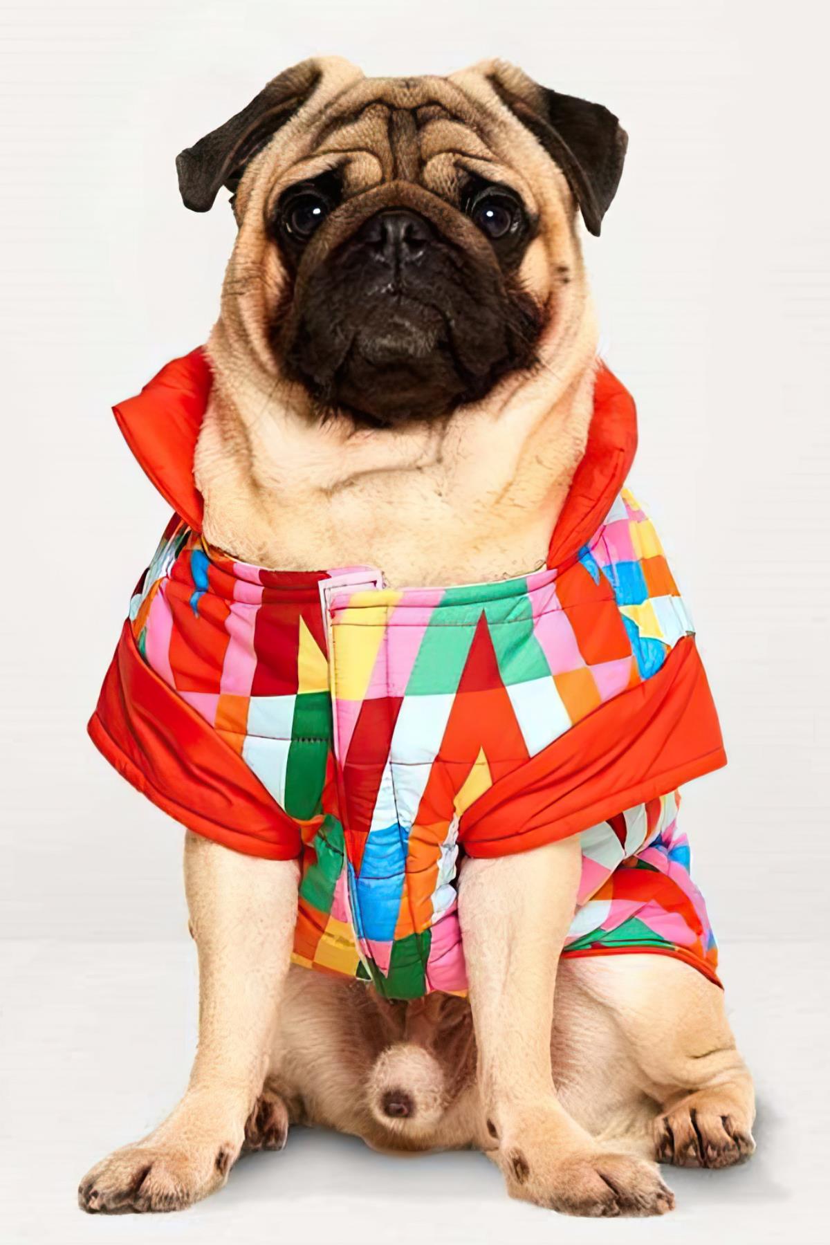 Godoist Puffer Series-Zigzag Dog Coat