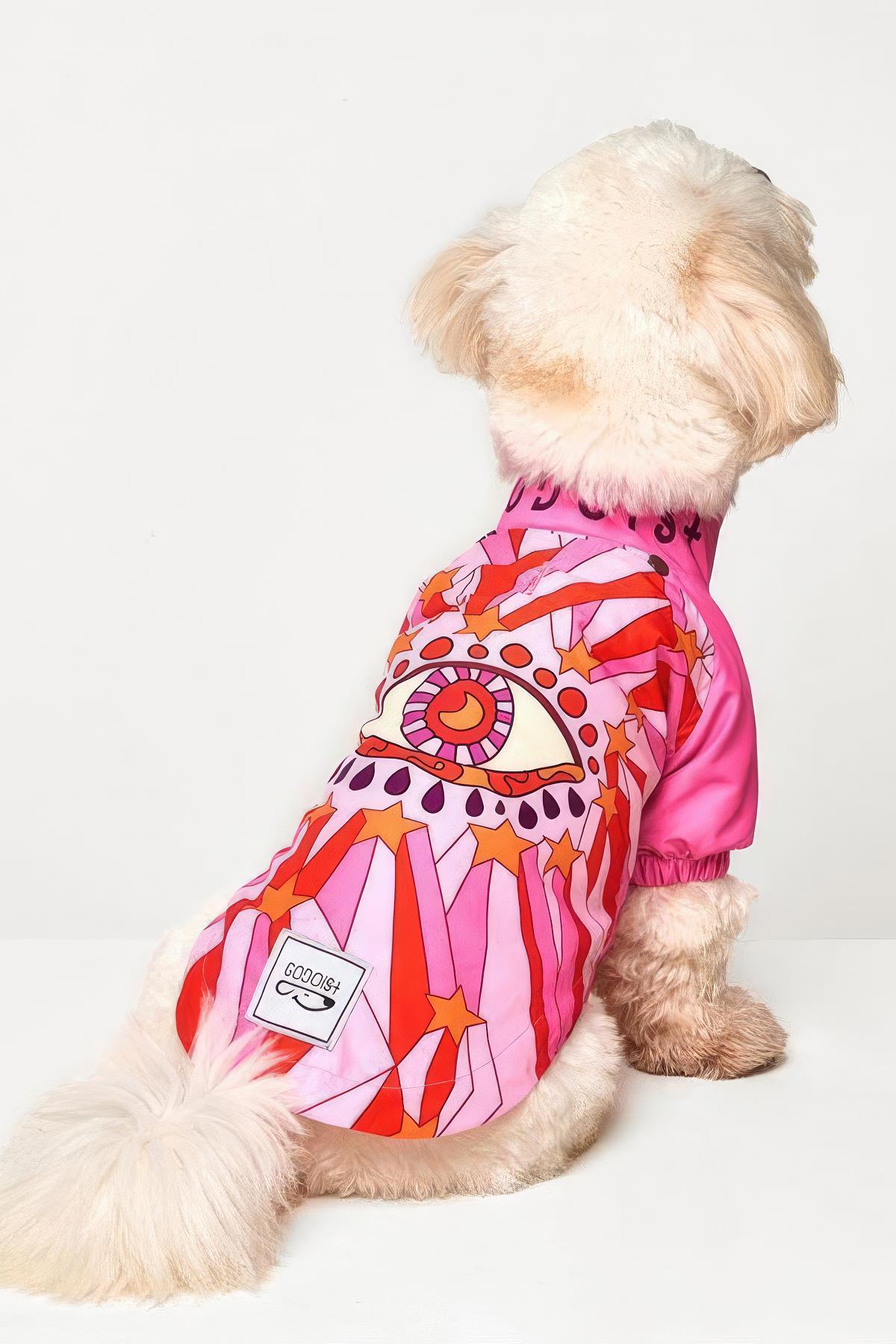 Godoist Raincoat Series Garnet Köpek Yağmurluğu