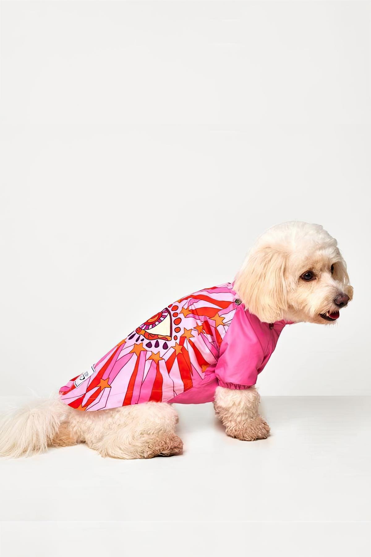 Godoist Raincoat Series Garnet Köpek Yağmurluğu
