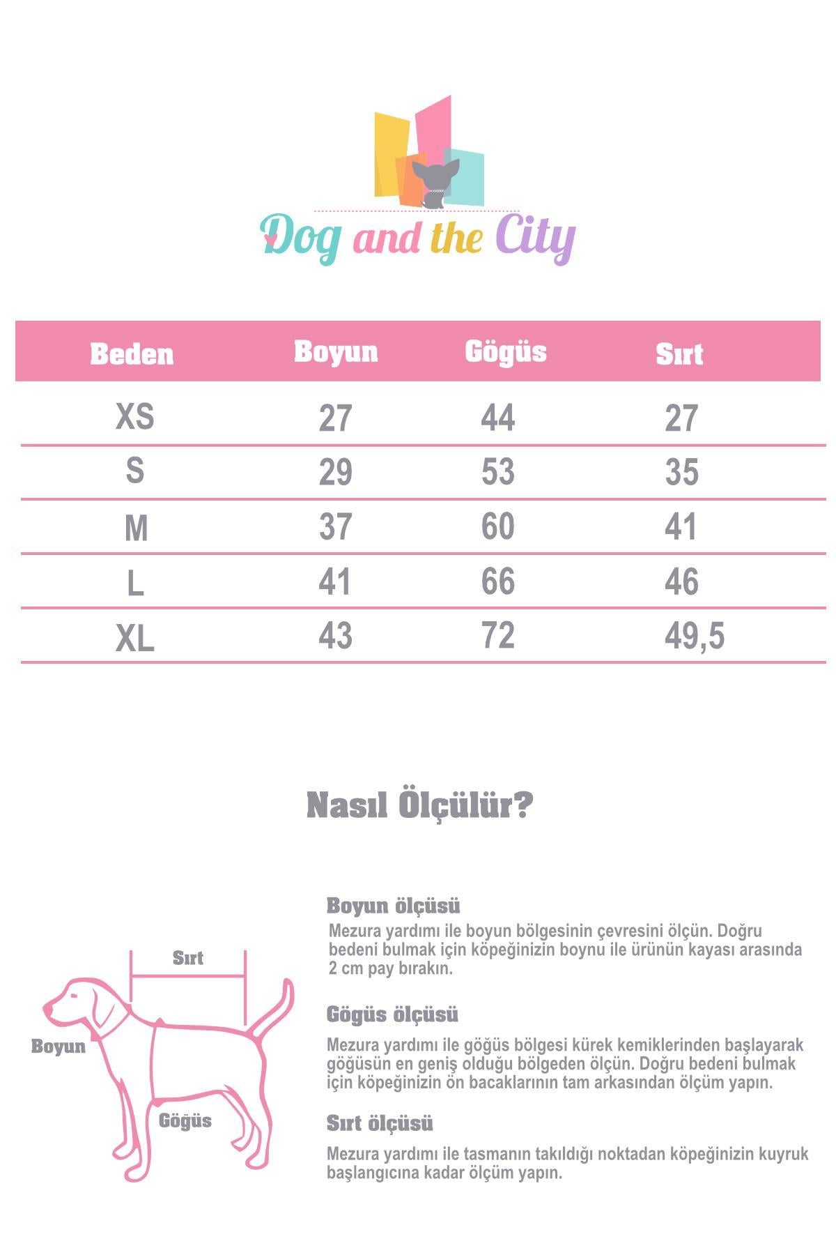 Godoist Raincaot Series Milano Dog Raincoat