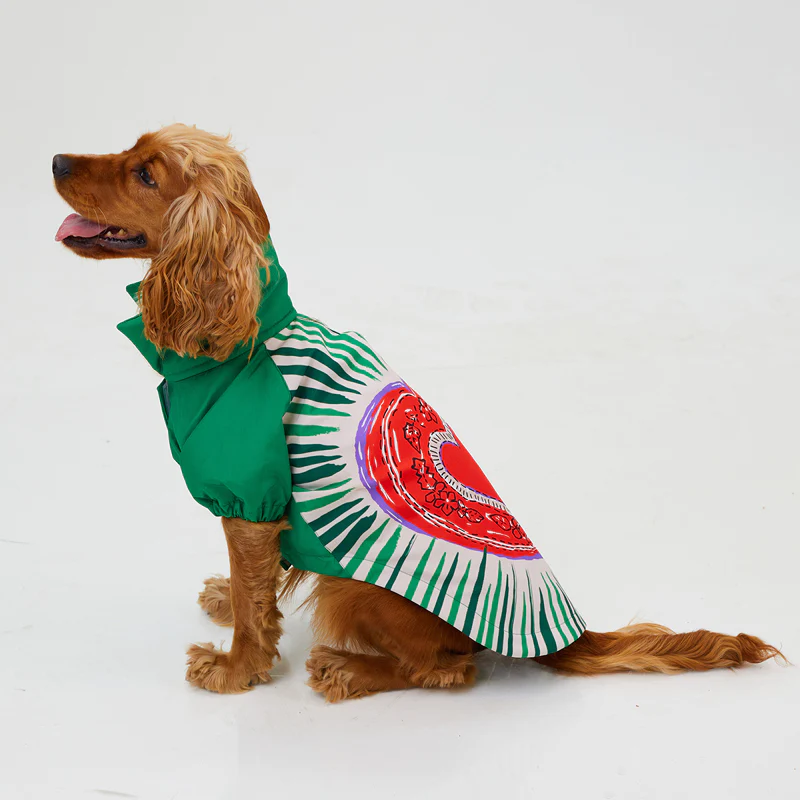 Godoist Raincaot Series Milano Dog Raincoat