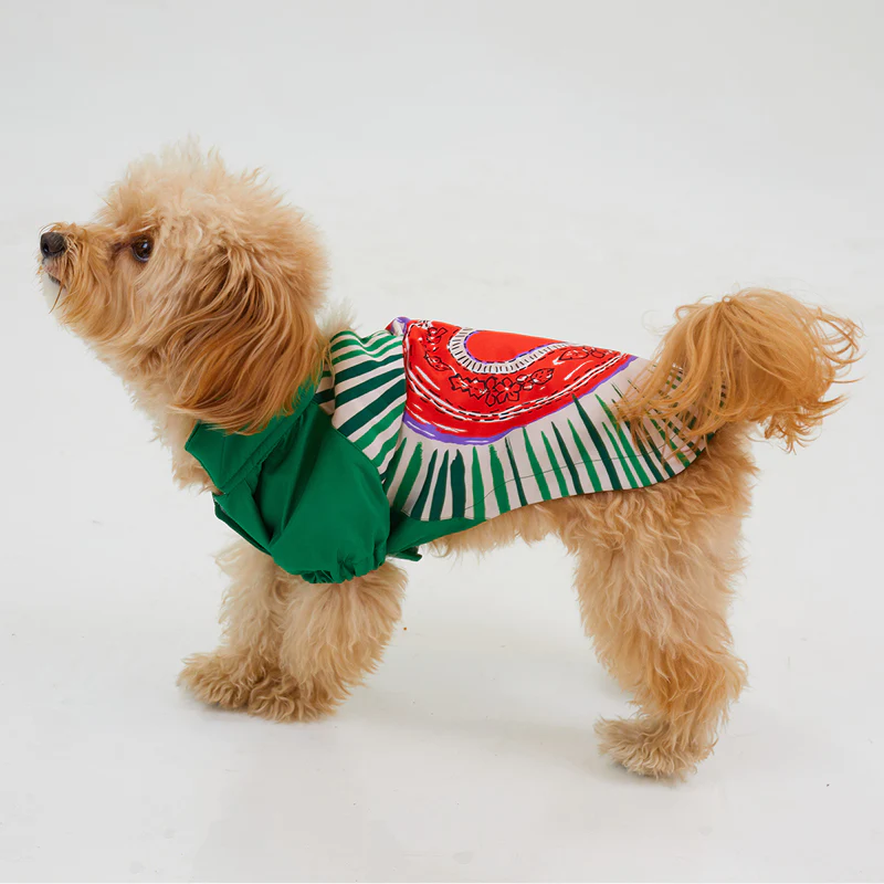 Godoist Raincaot Series Milano Dog Raincoat