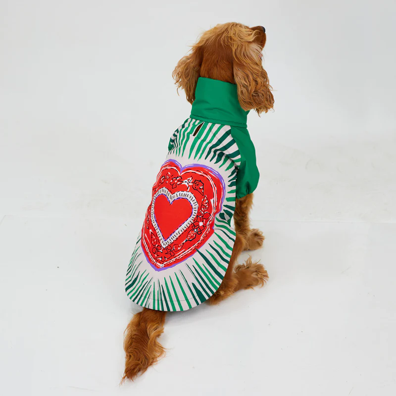 Godoist Raincaot Series Milano Dog Raincoat