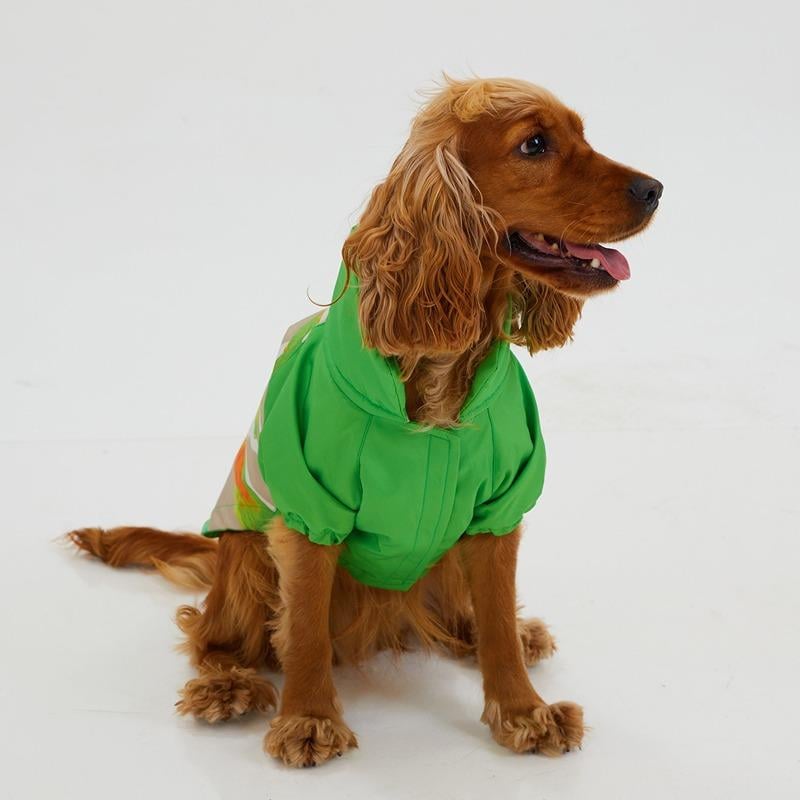 Godoist Raincoat Series Together Köpek Yağmurluğu