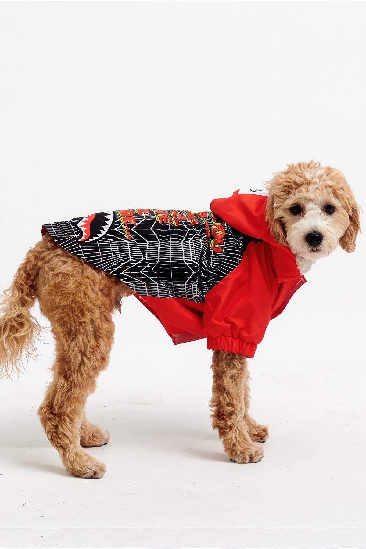 Godoist Raincoat Series-Lil Sharkie
