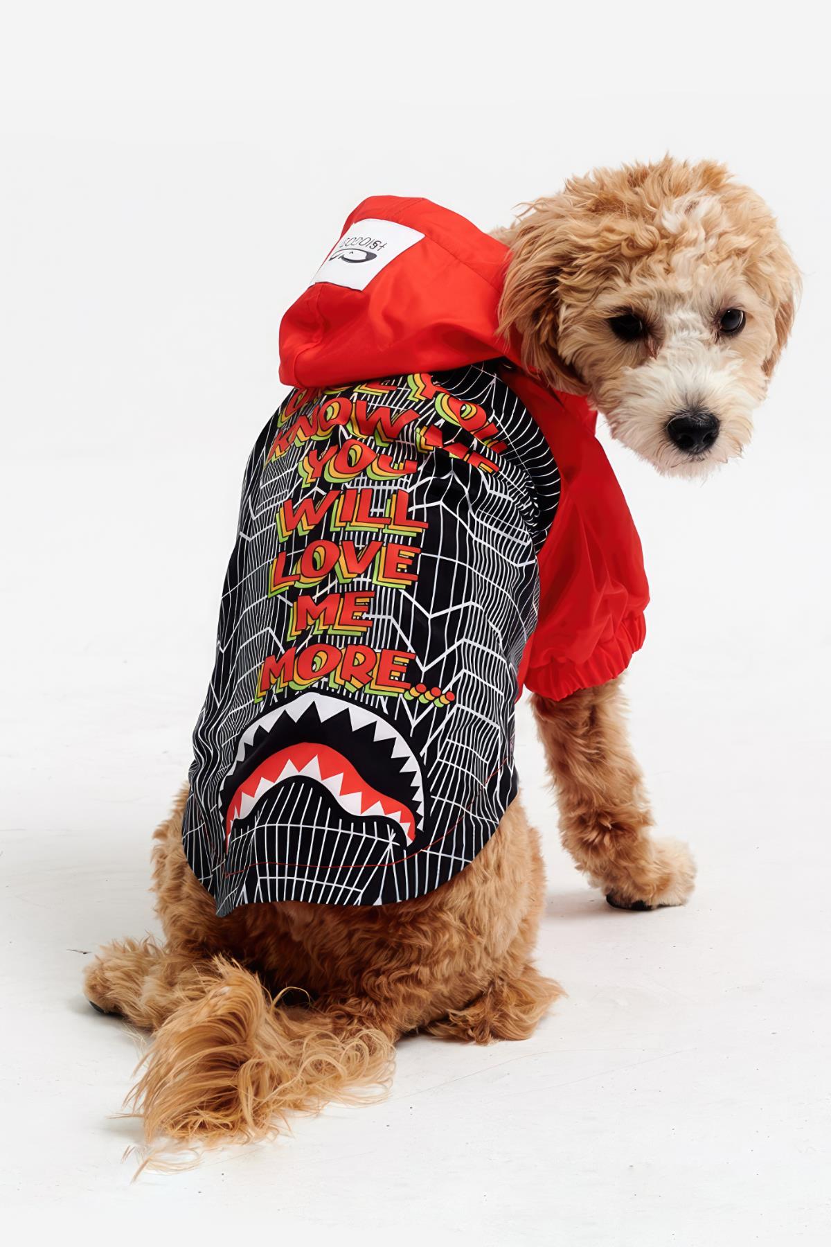 Godoist Raincoat Series-Lil Sharkie