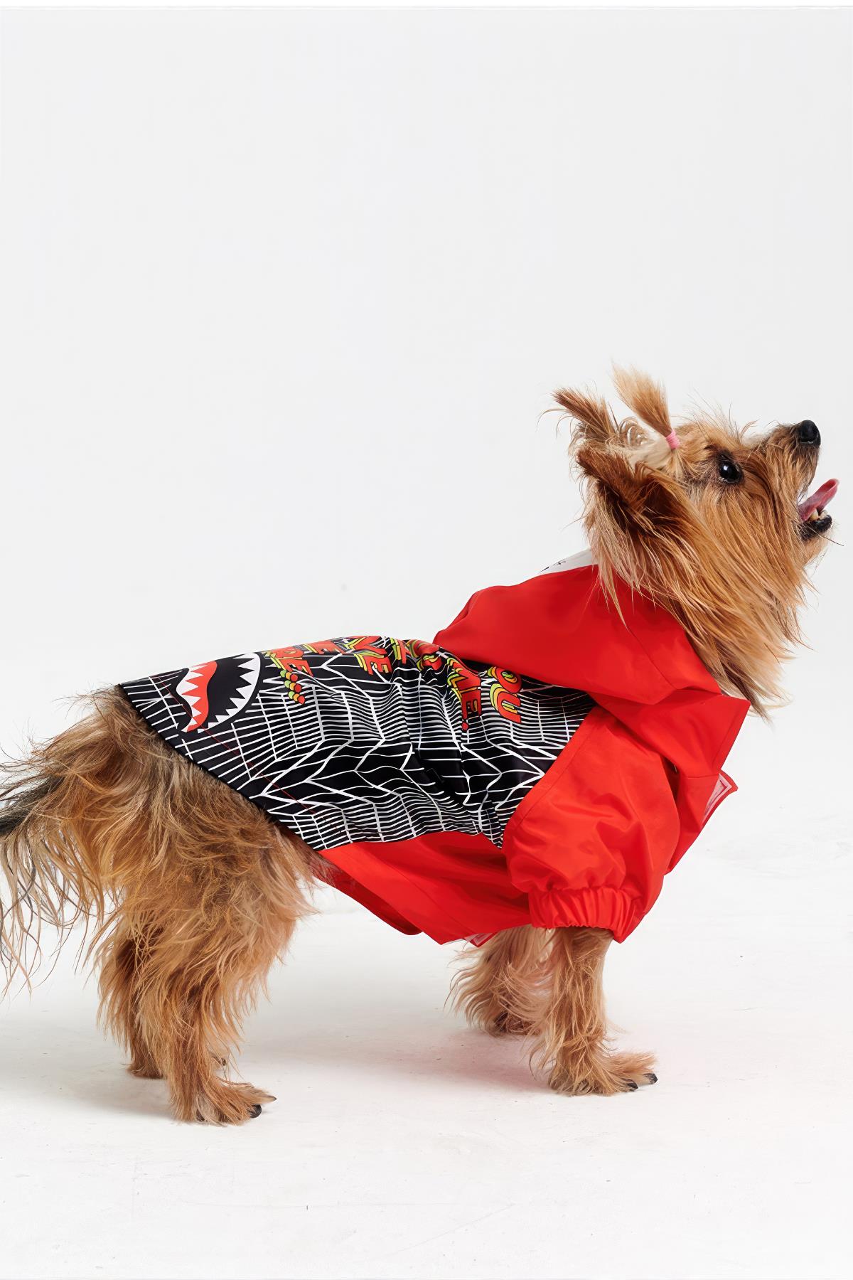 Godoist Raincoat Series-Lil Sharkie