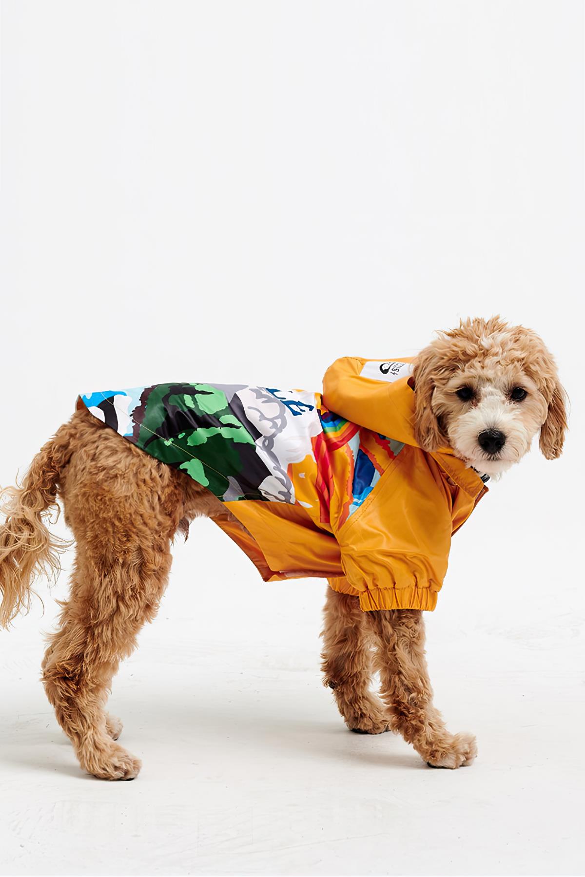Godoist Raincoat Series-Smile
