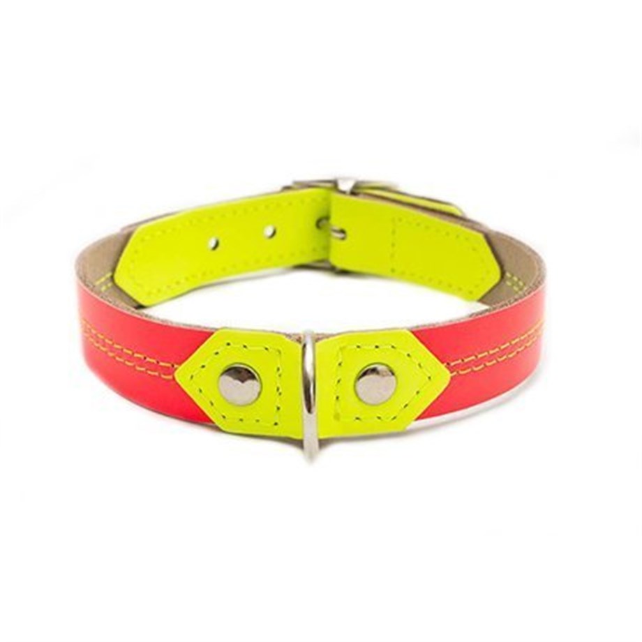 Hiro+Wolf Twin Stitch Neon Köpek Boyun Tasması