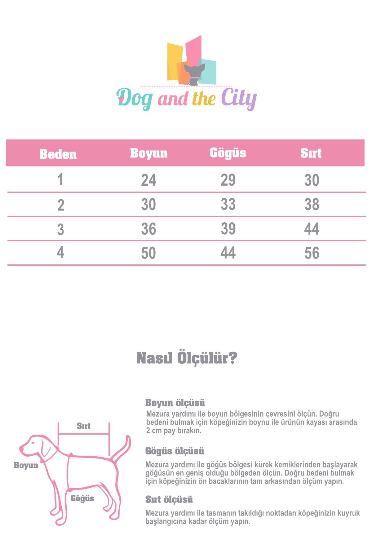 Hole Pink (New) Köpek Kazağı