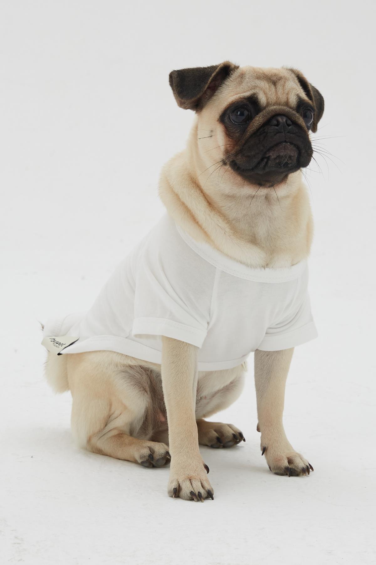 Hypet Fashion Hot Dog Tee