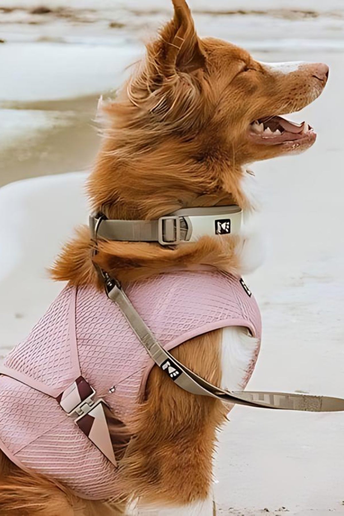 Hurtta Dog Cooling Vest Carnation Pink