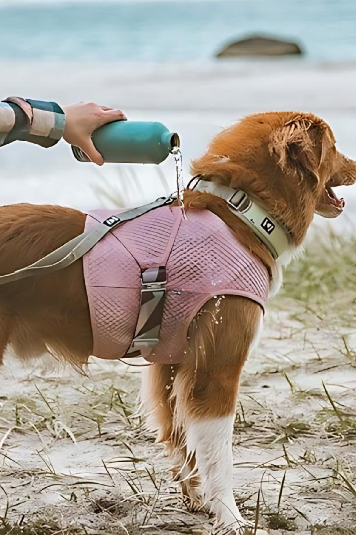 Hurtta Dog Cooling Vest Carnation Pink