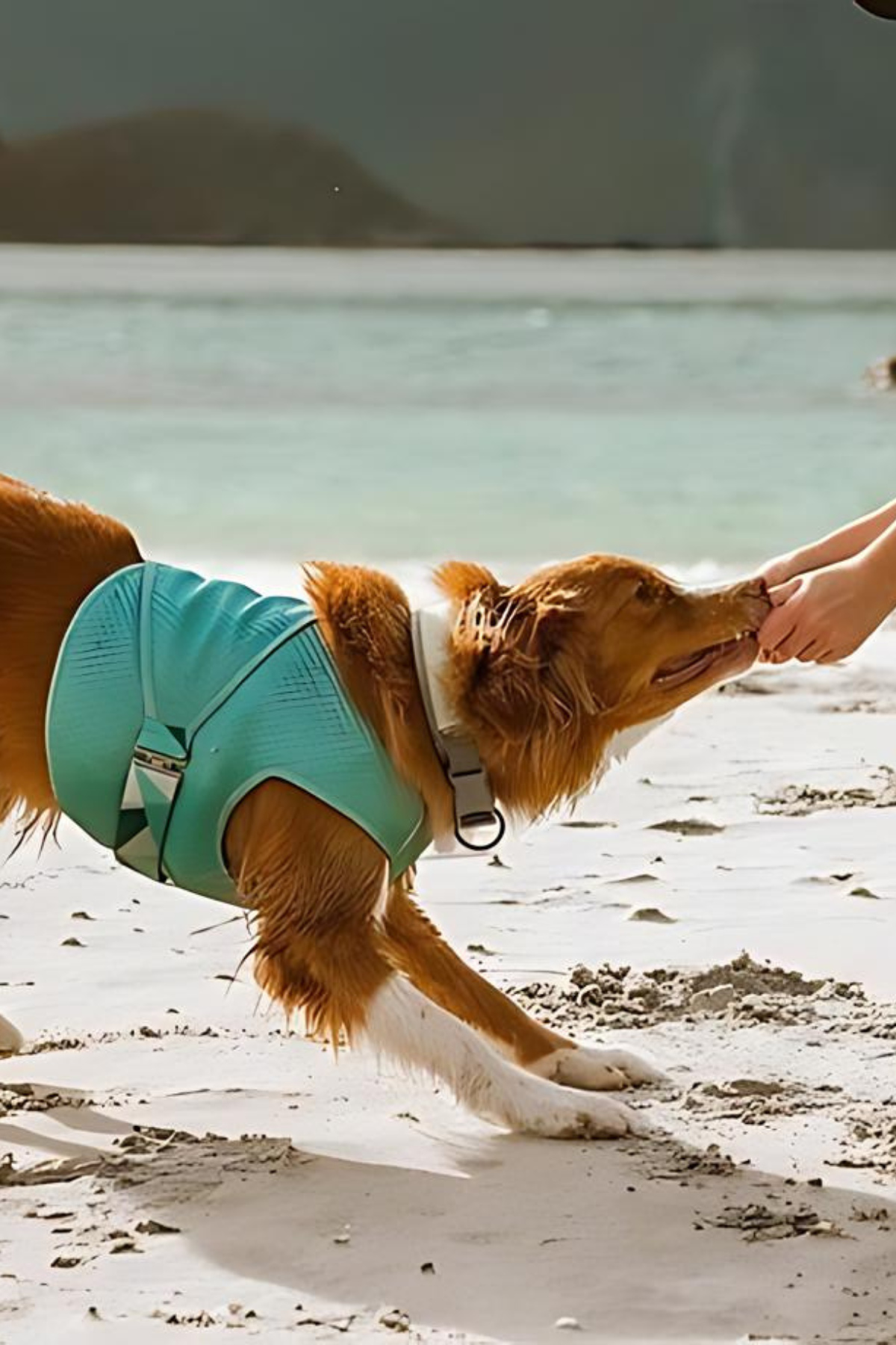 Hurtta Dog Cooling Vest Tumeric