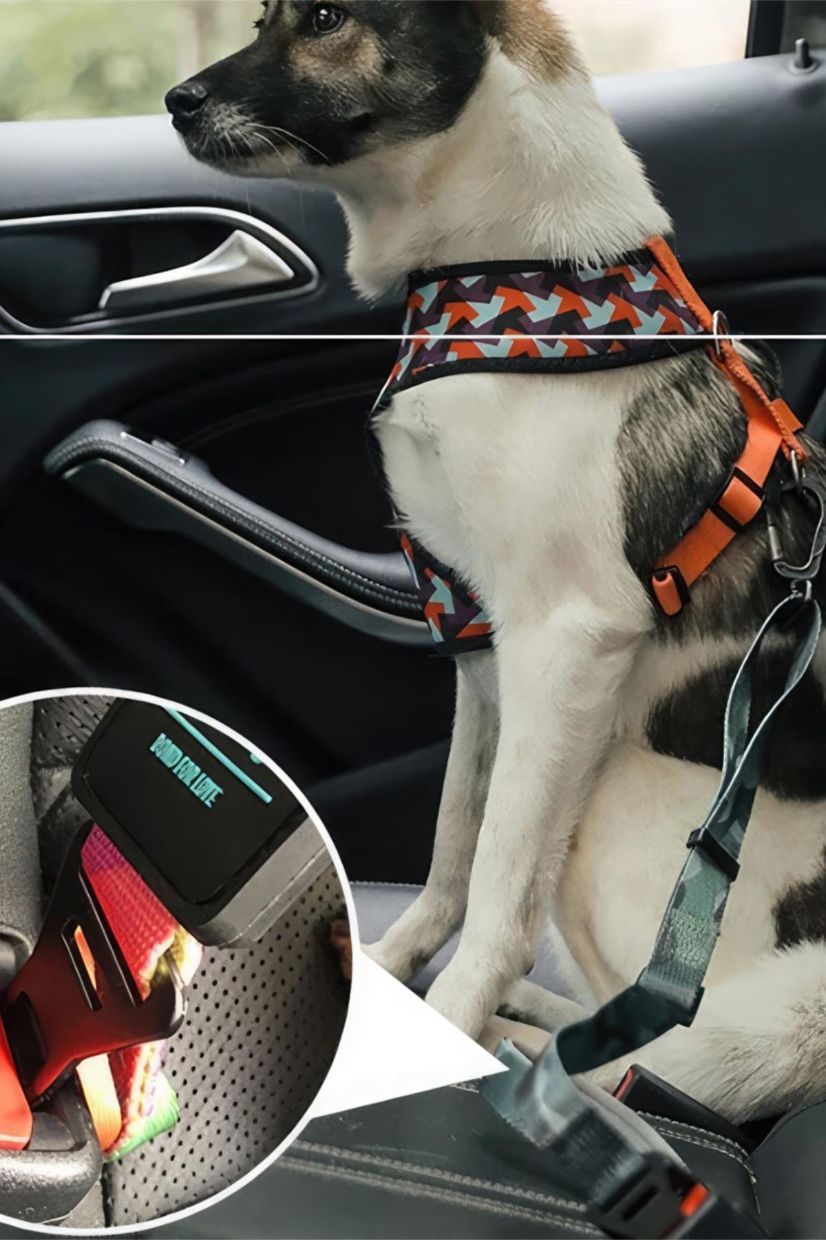 Ispet Camouflage Safety Arched Dog Walking Stray
