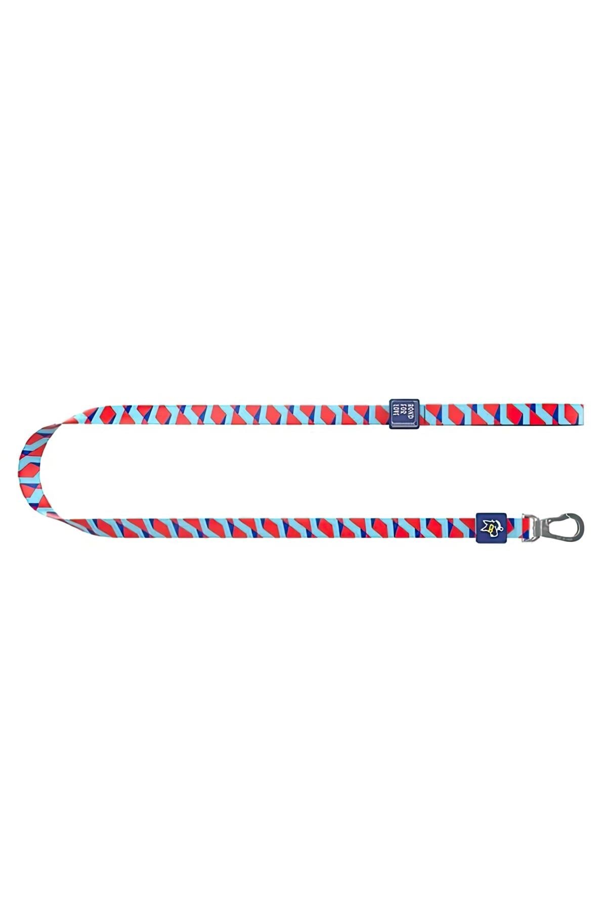 Ispet Blue Zigzag Dog Navigation Stray