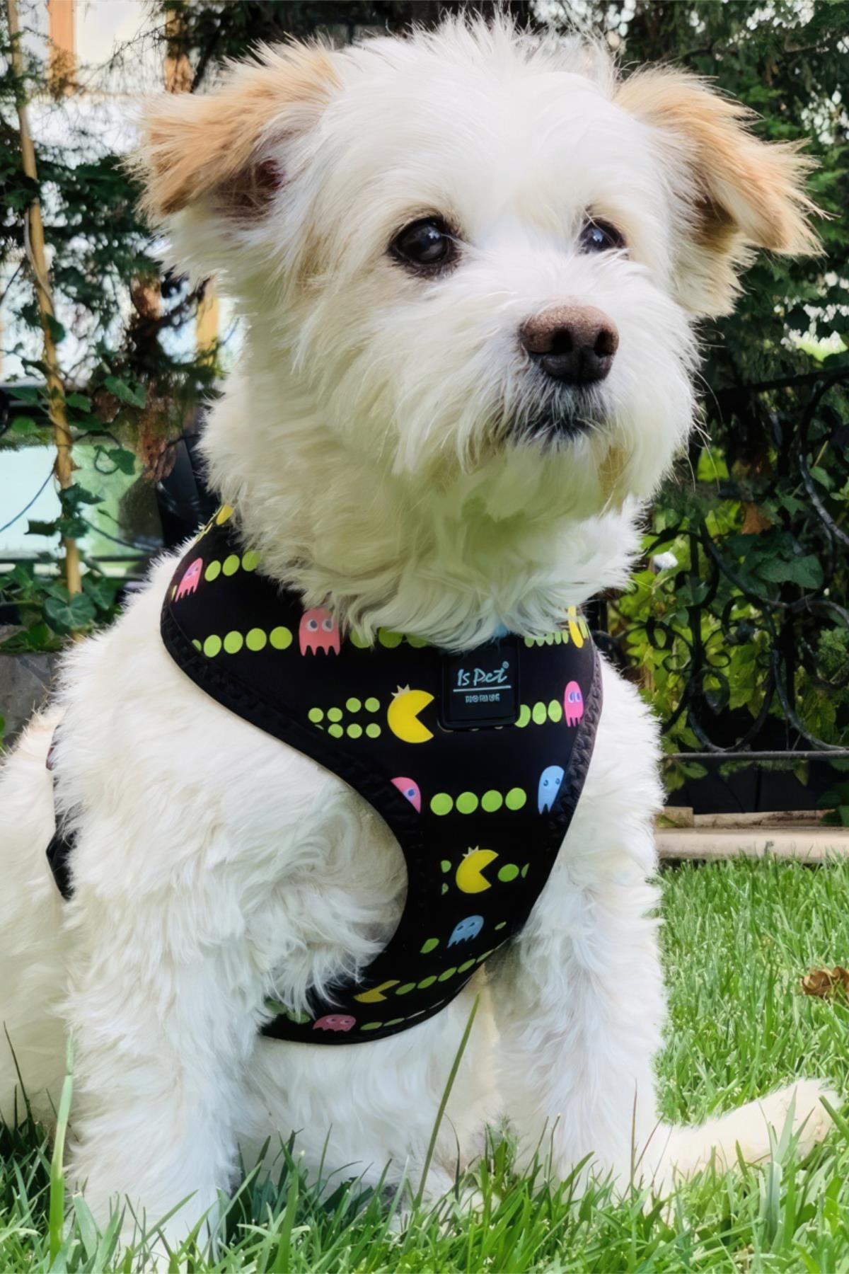 Ispet Pacman Airmesh Dog Chest Collar