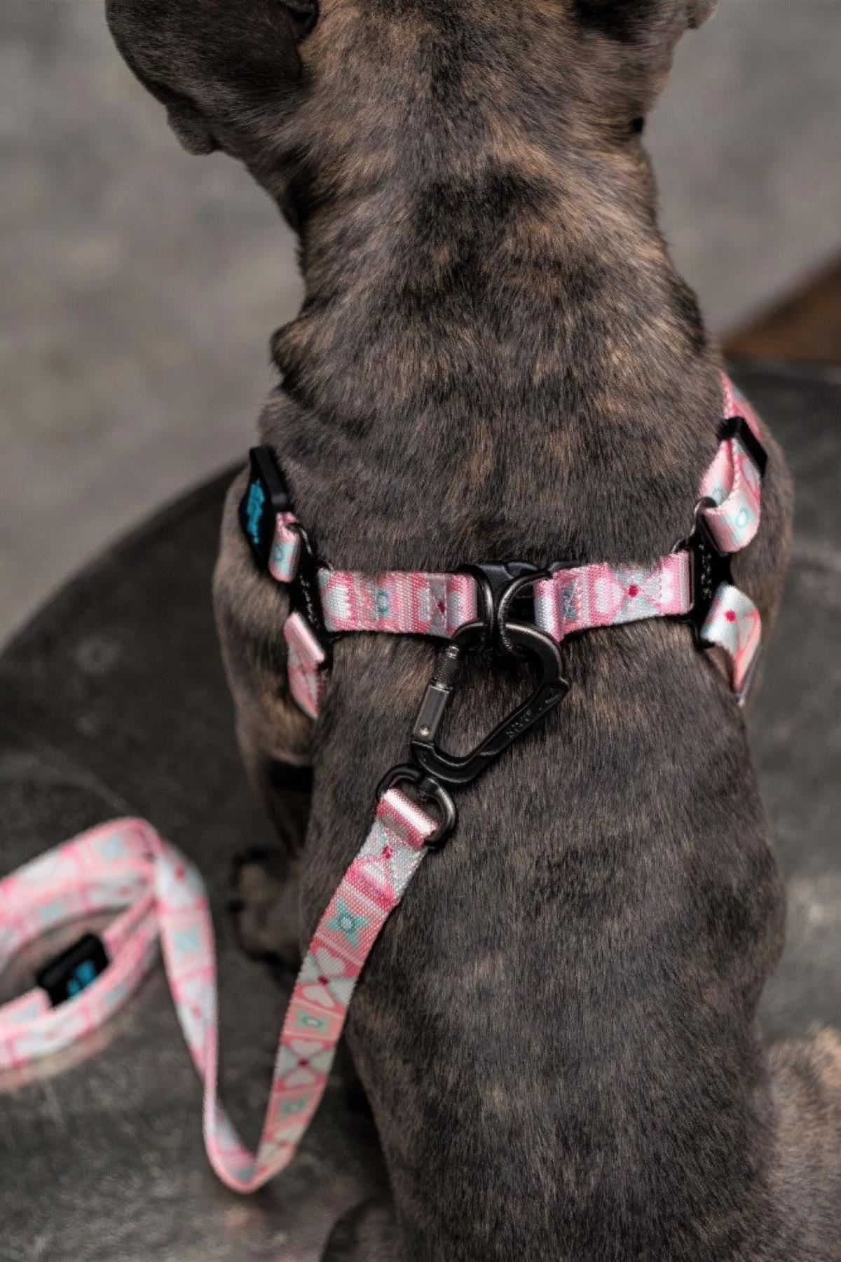 Ispet Pinky Step-In Köpek Göğüs Tasması