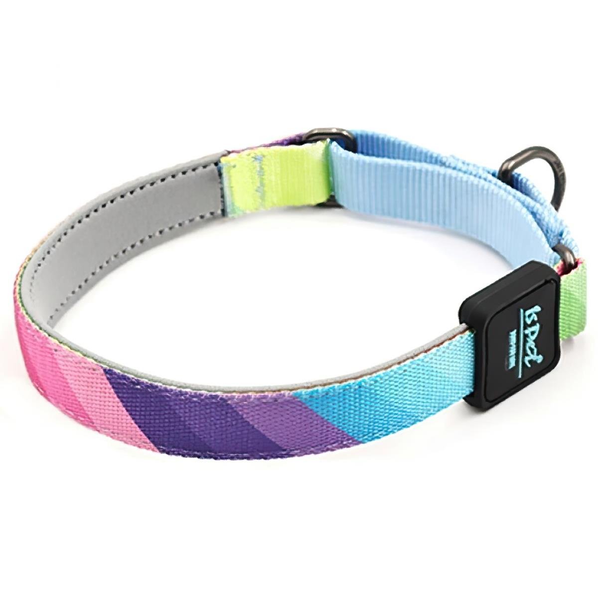 Ispet Rainbow Köpek Eğitim Boyun Tasması