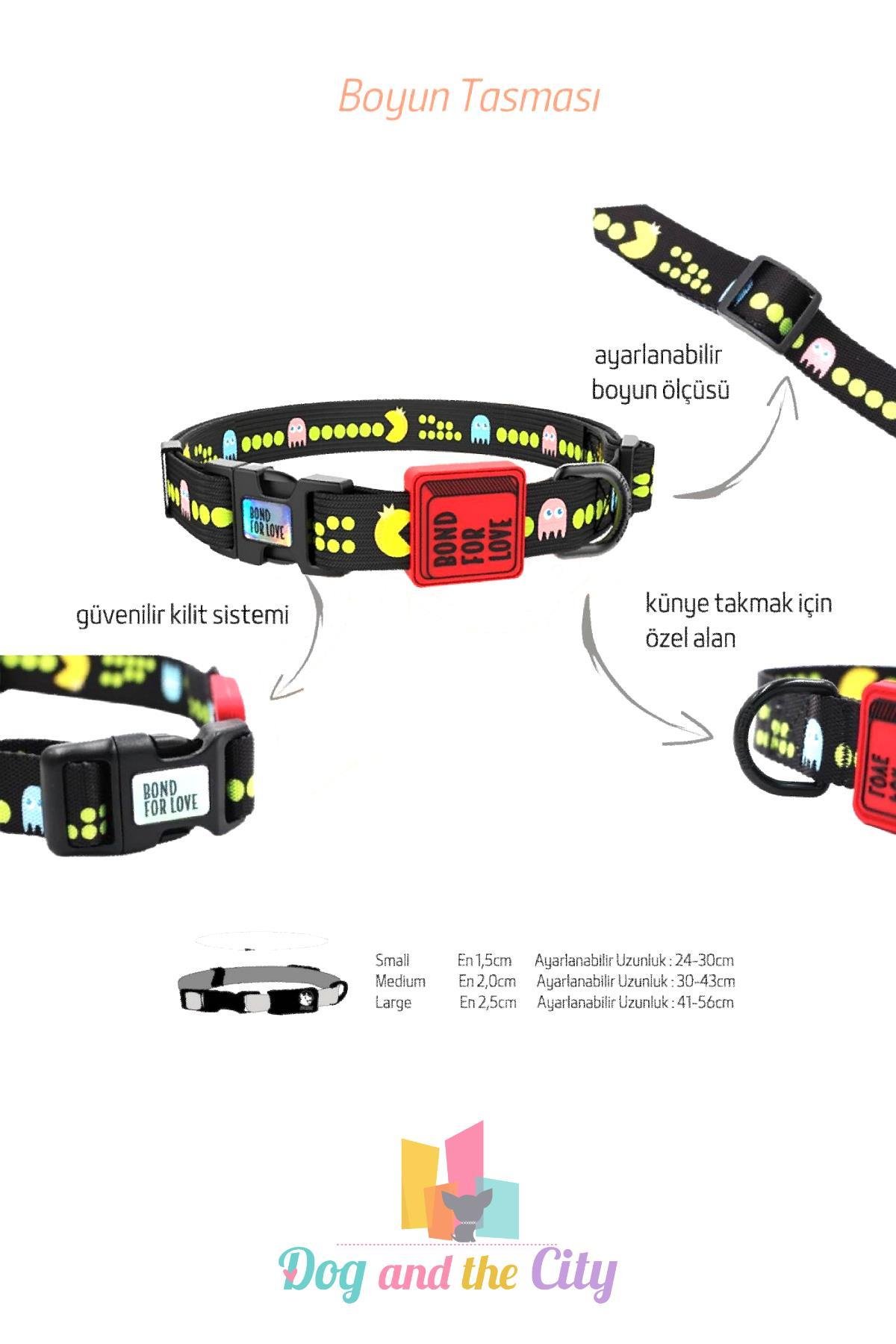 Ispet Wave Blue Köpek Boyun Tasması
