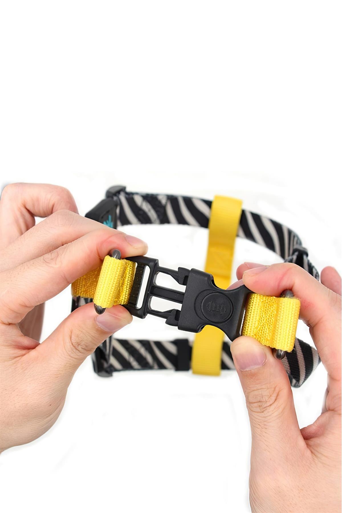 Ispet Zebra Step in Köpek Göğüs Tasması