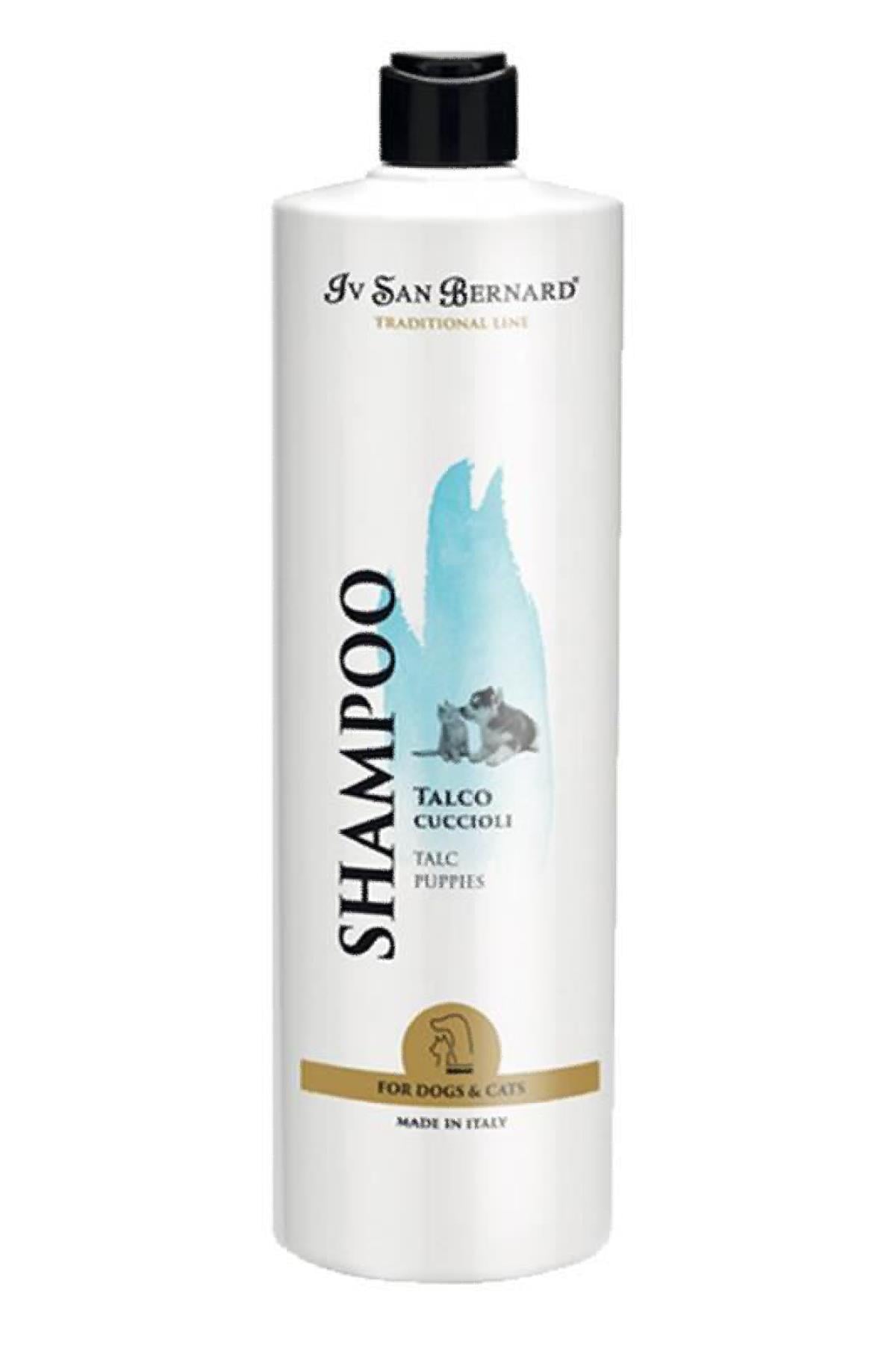 iv-san-bernard-talc-yavru-kedi-ve-kope-142bb4.jpg