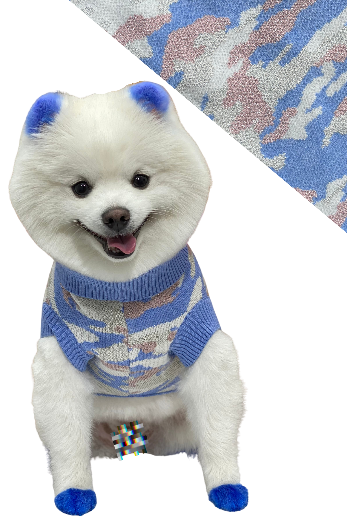 Justice Köpek Kazağı