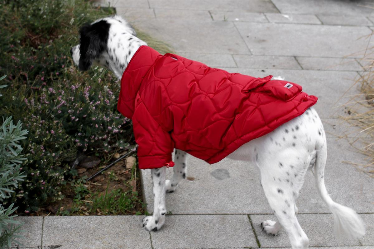 Monido Red Dog Coat