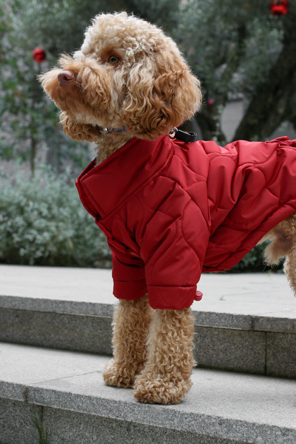 Monido Red Dog Coat