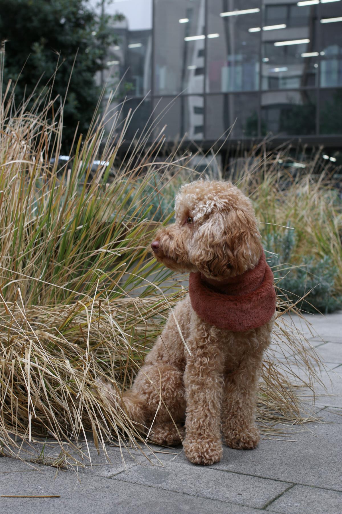 Monido Furry Dog ​​Bandana Brown