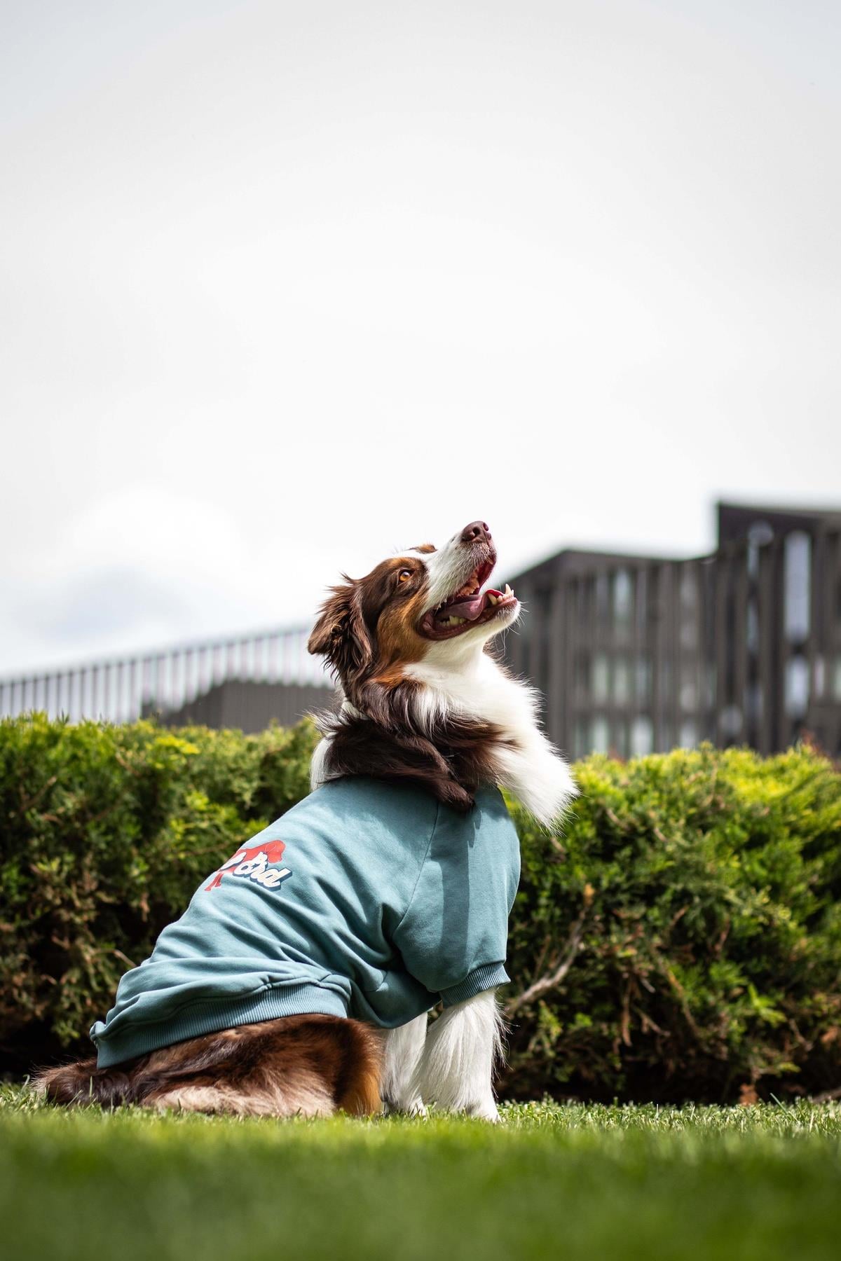 Legacy Sweatshirt - Seafoam Glow