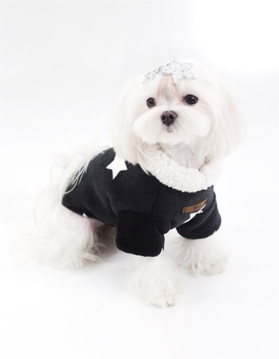 Lil.co Be A Star Limited Edition Köpek Kazağı Siyah