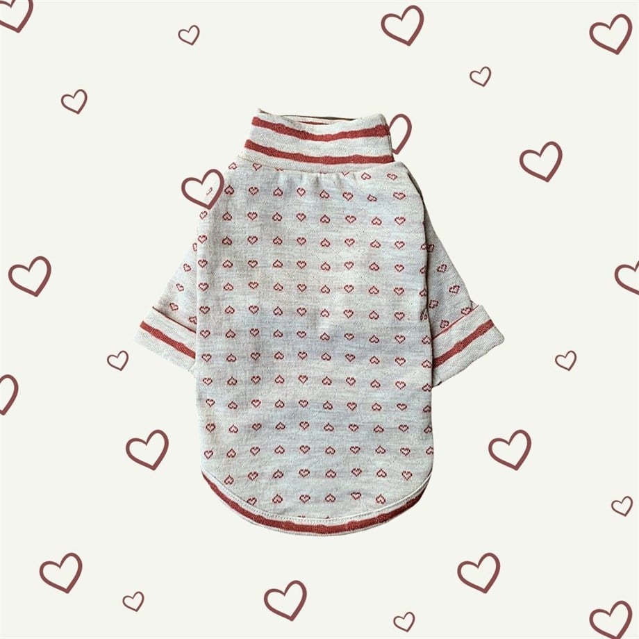 Lil.co Be My Valentine Köpek Shirt