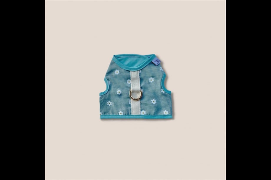 Lil.Co Have A Nice Day Harness Dog Breast Bowl Green