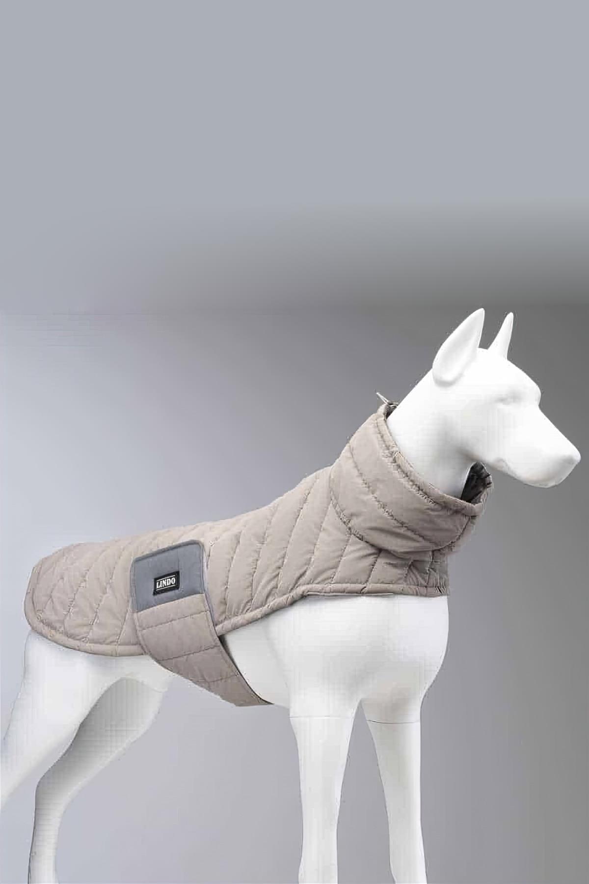 Lindodogs Air Puff Stone Köpek Montu