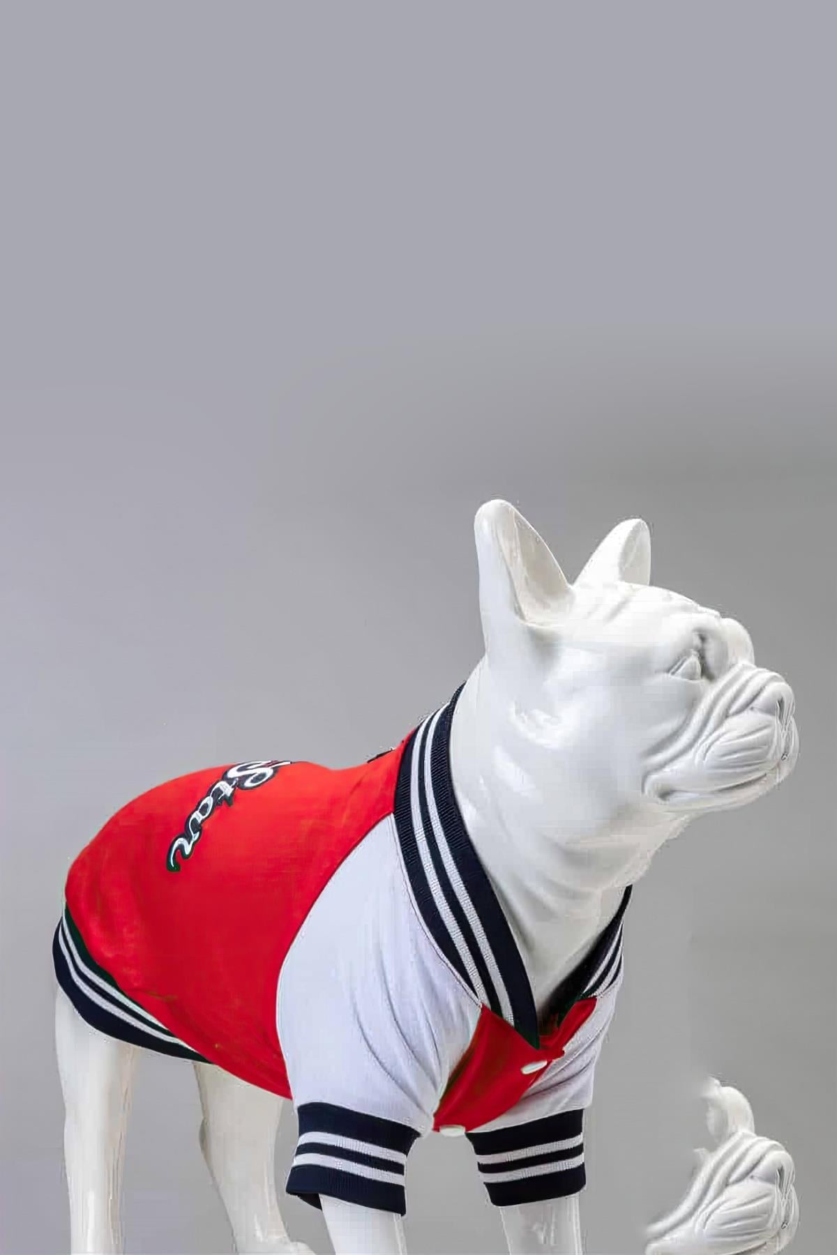 Lindodogs All Star Köpek Sweatshirt Kırmızı