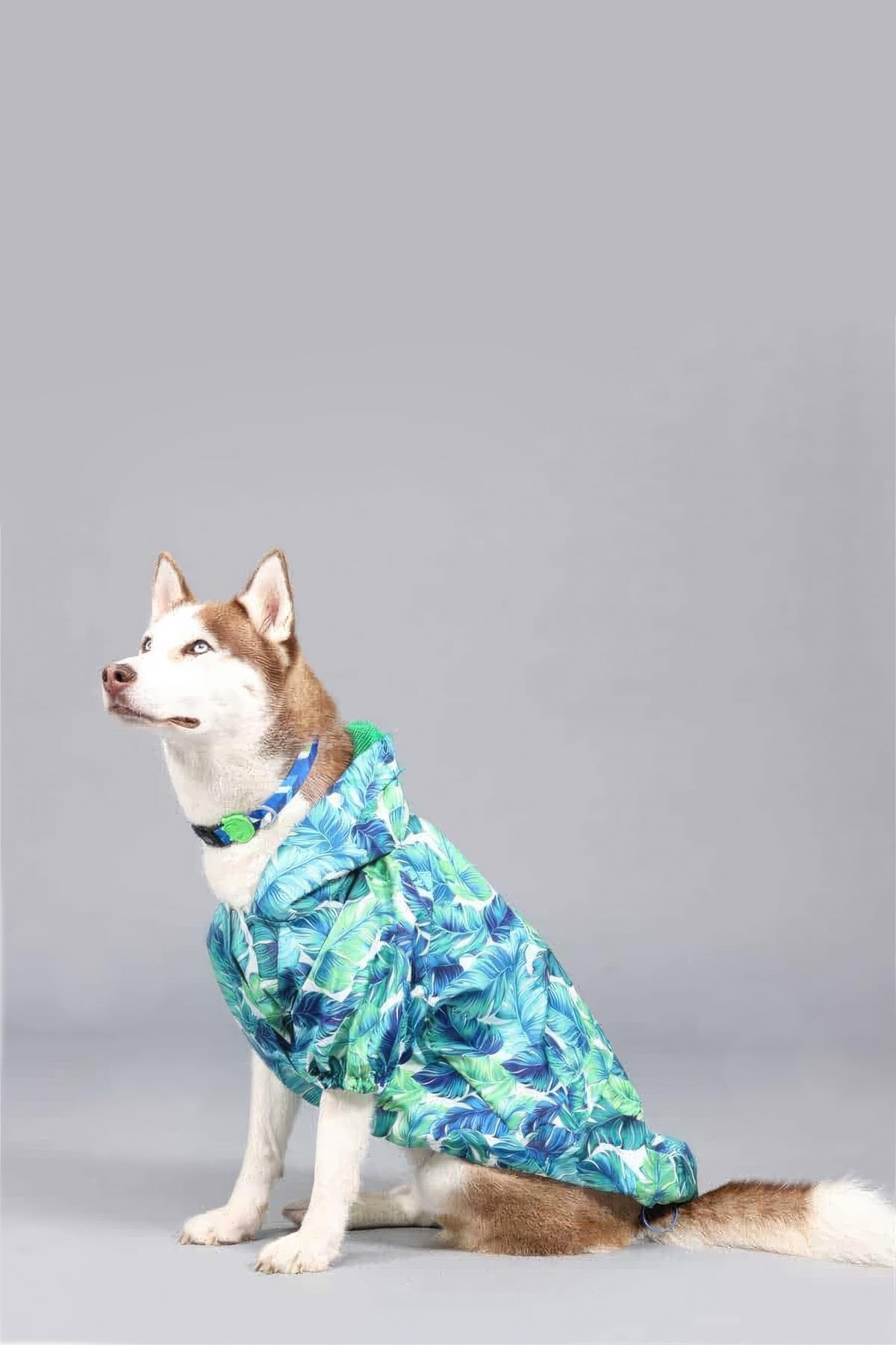 Lindodogs Aqua İçi Fileli Su Geçirmez Köpek Yağmurluğu