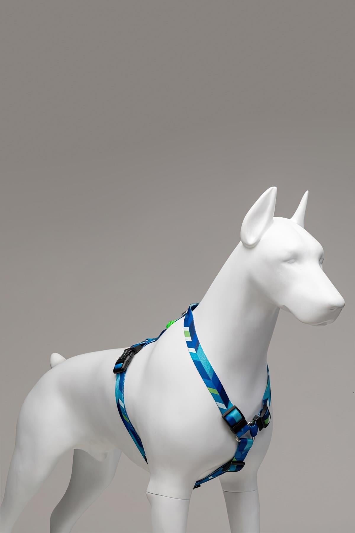 Lindodogs Blue Dream H Tipi Göğüs Tasması